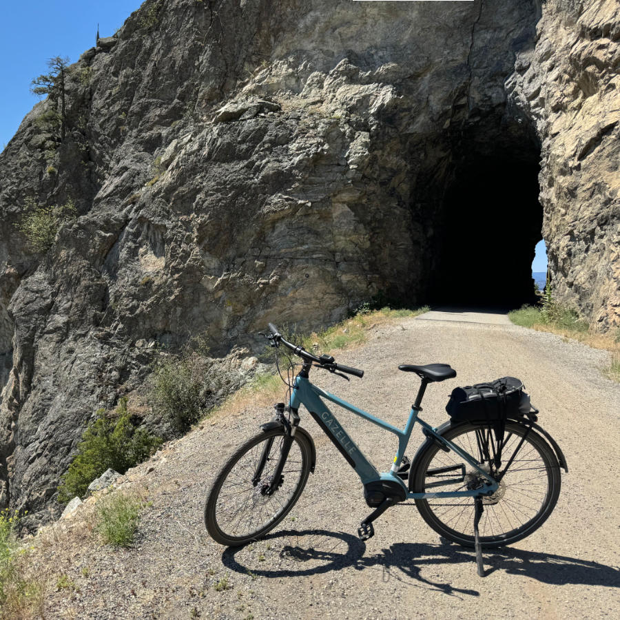 Gazelle E-bike at Myra Canyon